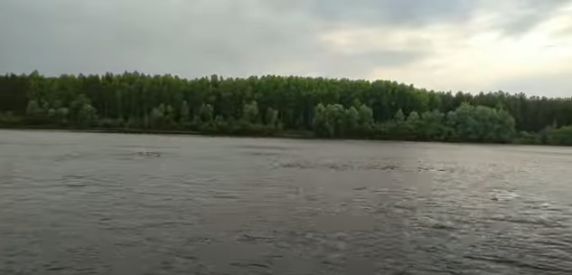 Уровень воды в реке тавда таборы