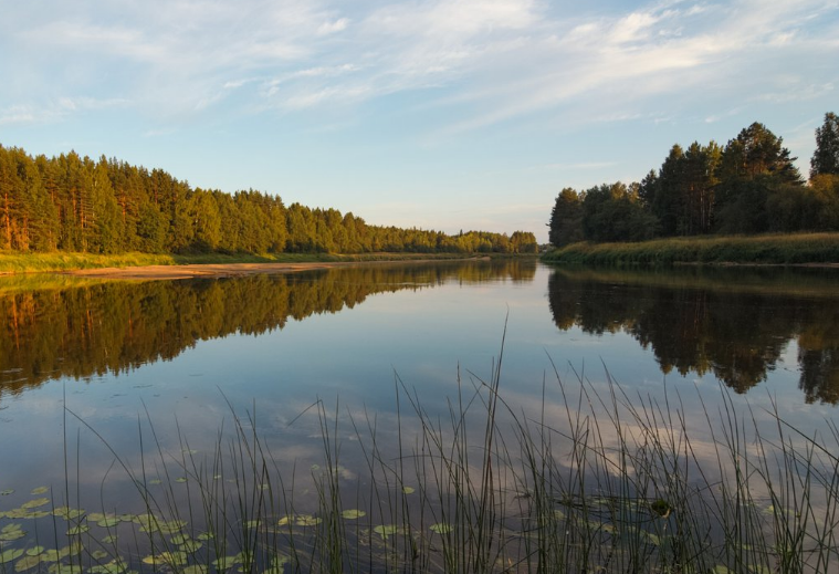 Сплав по реке Медведице (Тверская) от п. Городковский до д. Кочеватово (185 км) - фото