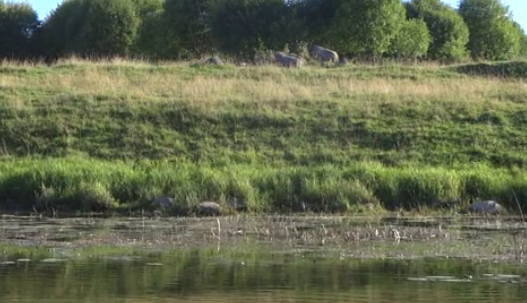 Сплав по реке Медведице (Тверская) от п. Городковский до д. Кочеватово (185 км) - фото