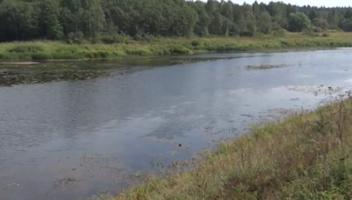 Сплав по реке Медведице (Тверская) от п. Городковский до д. Кочеватово (185 км) - фото