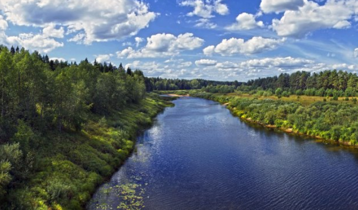 Сплав по реке Медведице (Тверская) от п. Городковский до д. Кочеватово (185 км) - фото