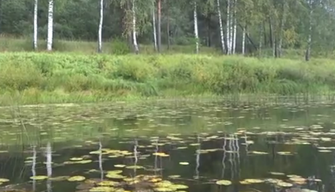 Сплав по реке Медведице (Тверская) от п. Городковский до д. Кочеватово (185 км) - фото