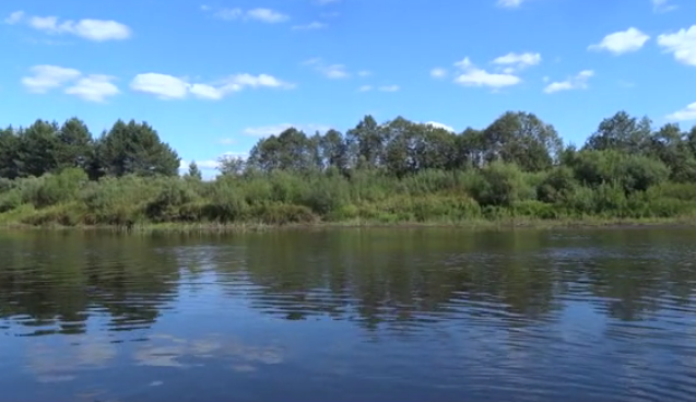 Сплав по реке Медведице (Тверская) от п. Городковский до д. Кочеватово (185 км) - фото