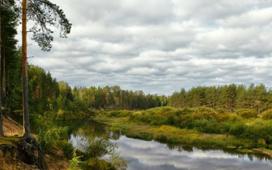 Сплав по реке Медведице (Тверская) от п. Городковский до д. Кочеватово (185 км) - фото