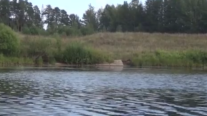 Сплав по реке Медведице (Тверская) от п. Городковский до д. Кочеватово (185 км) - фото