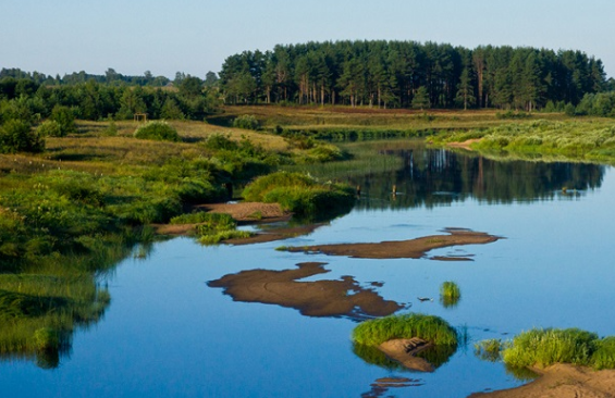 Сплав по реке Медведице (Тверская) от п. Городковский до д. Кочеватово (185 км) - фото