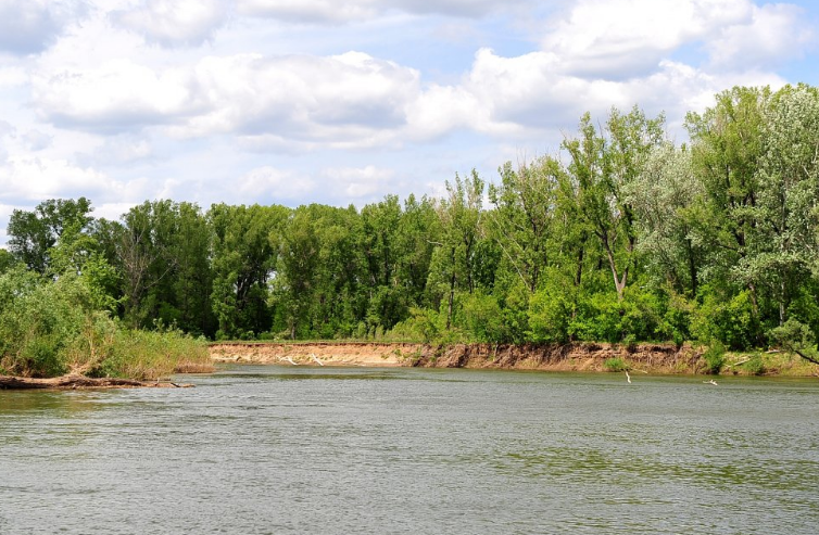 Водный сплав по реке Сакмара от г. Кувандык до г. Оренбург (длина 378 км) - фото