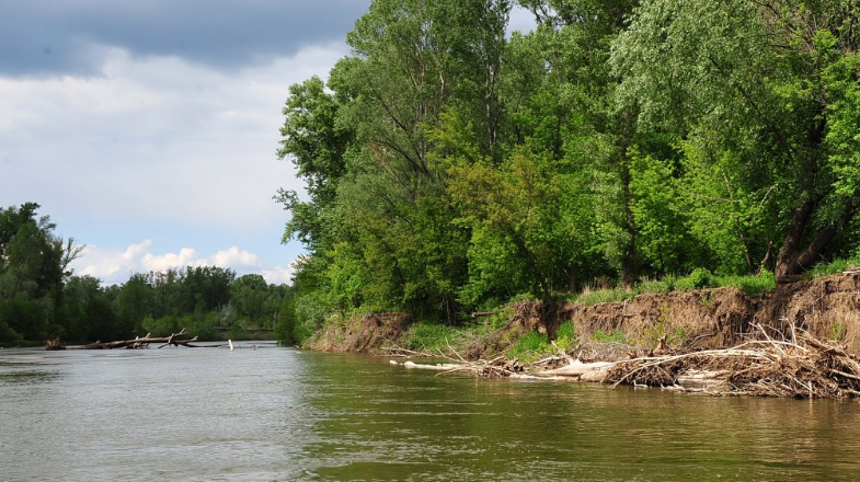 Водный сплав по реке Сакмара от г. Кувандык до г. Оренбург (длина 378 км) - фото