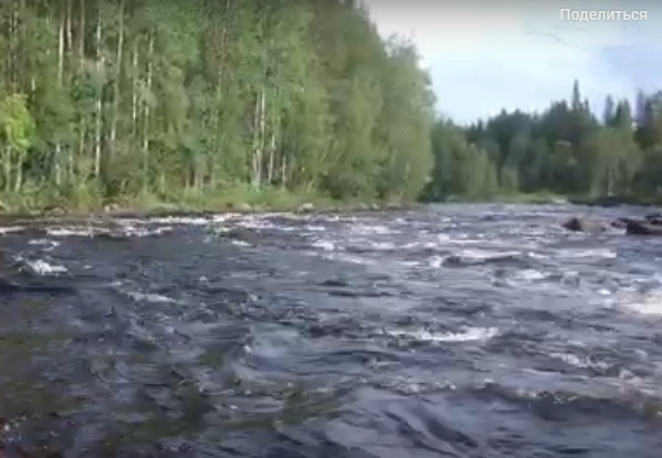 Водный сплав по реке Воньга от п. Энгозеро до д. Воньга (длина маршрута 130 км) - фото