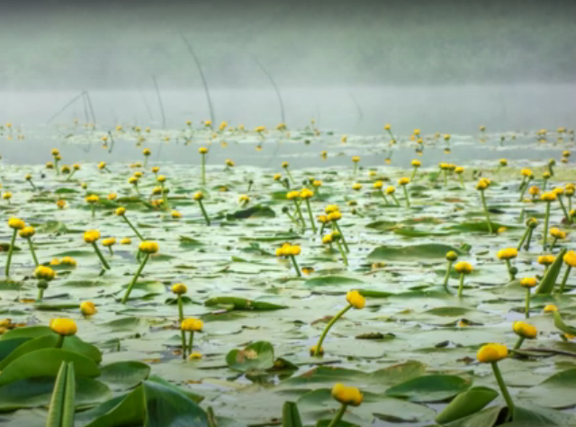 Водный сплав по реке Ирень от с. Енапаево до г. Кунгур (длина  211 км) - фото