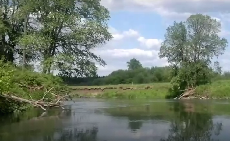 Водный сплав по реке Ирень от с. Енапаево до г. Кунгур (длина  211 км) - фото