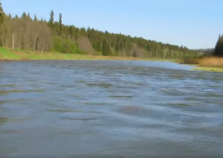 Водный сплав по реке Сылва от п. Шамары до п. Сылва (длина 415 км) - фото