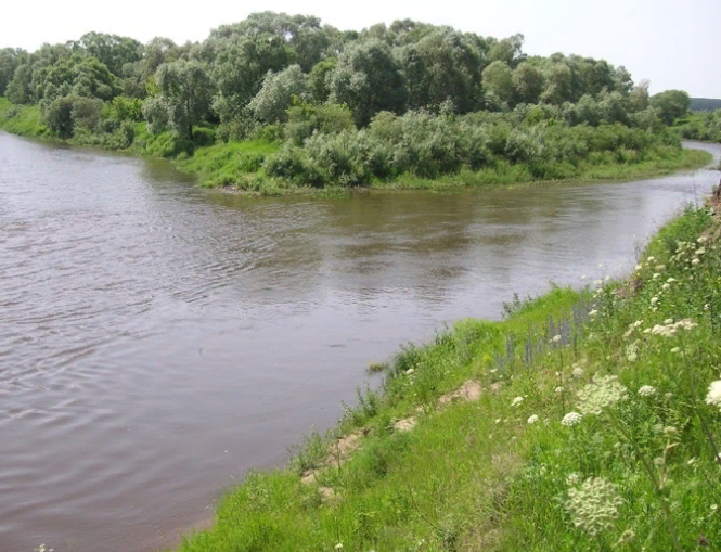 Водный сплав по реке Жиздра (длина 195 км) - фото