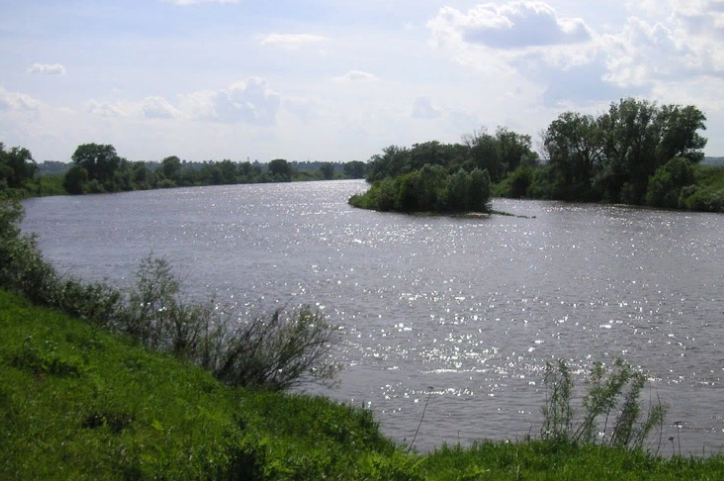 Водный сплав по реке Жиздра (длина 195 км) - фото