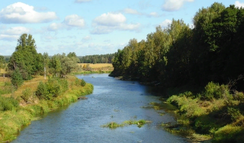 Водный сплав по реке Жиздра (длина 195 км) - фото