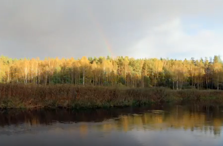 Водный сплав по реке Вага от г. Вельск до п. Березник (длина маршрута 358 км) - фото