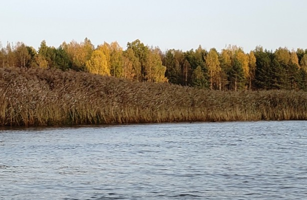 Водный сплав по реке Вага от г. Вельск до п. Березник (длина маршрута 358 км) - фото