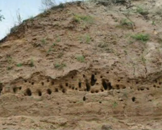 Водный сплав по реке Медведица (Донская) от Аткарска до Михайловки. (465 км) - фото