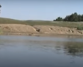 Водный сплав по реке Медведица (Донская) от Аткарска до Михайловки. (465 км) - фото