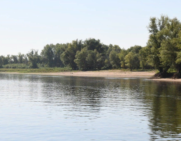 Водный сплав по реке Медведица (Донская) от Аткарска до Михайловки. (465 км) - фото
