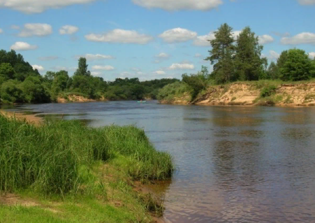 Водный сплав по реке Луга от г. Луга до г. Кингисепп (длина 158 км) - фото