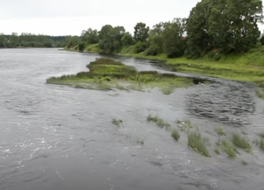 Водный сплав по реке Луга от г. Луга до г. Кингисепп (длина 158 км) - фото