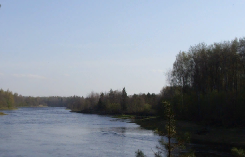 Водный сплав по реке Луга от г. Луга до г. Кингисепп (длина 158 км) - фото