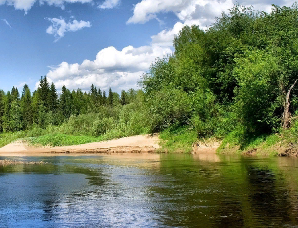 Водный сплав по реке Луга от г. Луга до г. Кингисепп (длина 158 км) - фото