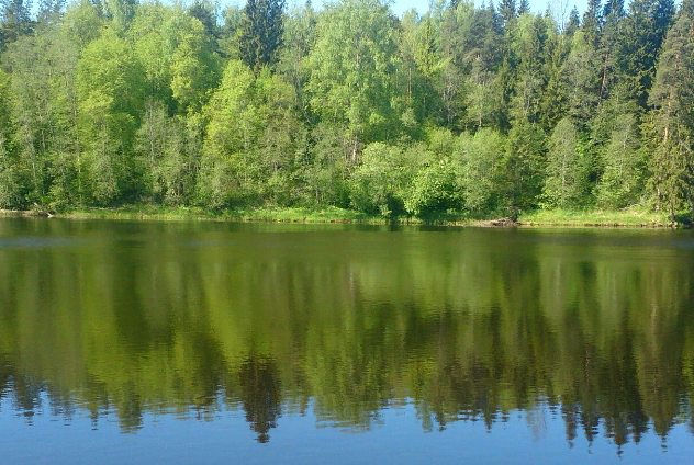 Водный сплав по реке Луга от г. Луга до г. Кингисепп (длина 158 км) - фото