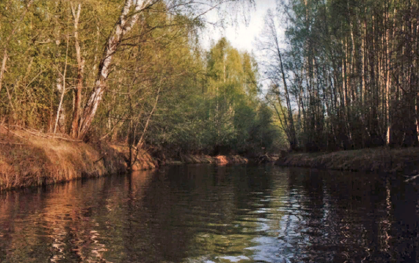 Водный сплав по реке Сясь от д. Шибенец до с. Колчаново (длина 124 км) - фото