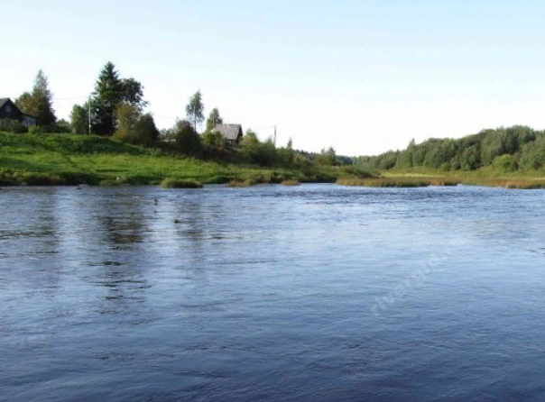 Водный сплав по реке Сясь от д. Шибенец до с. Колчаново (длина 124 км) - фото