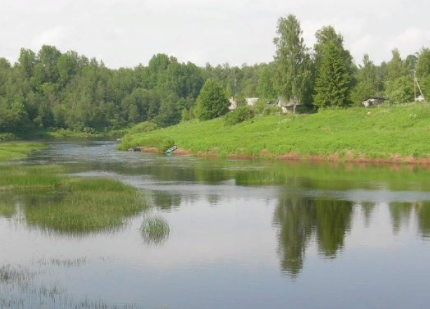 Водный сплав по реке Сясь от д. Шибенец до с. Колчаново (длина 124 км) - фото