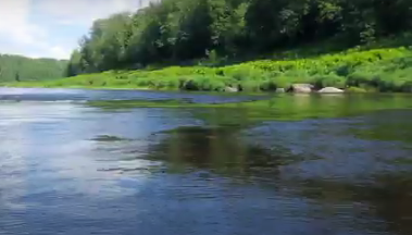 Водный сплав по реке Сясь от д. Шибенец до с. Колчаново (длина 124 км) - фото