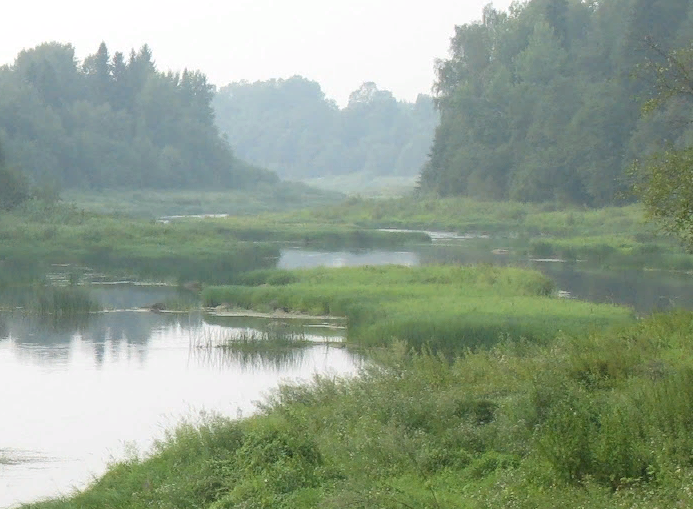 Водный сплав по реке Сясь от д. Шибенец до с. Колчаново (длина 124 км) - фото