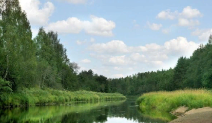 Водный сплав по реке Сясь от д. Шибенец до с. Колчаново (длина 124 км) - фото