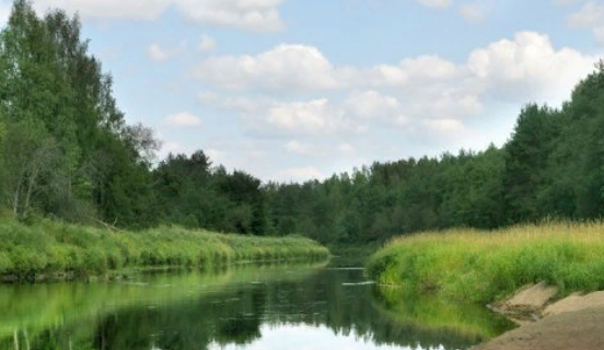 Водный сплав по реке Сясь от д. Шибенец до с. Колчаново (длина 124 км) - фото