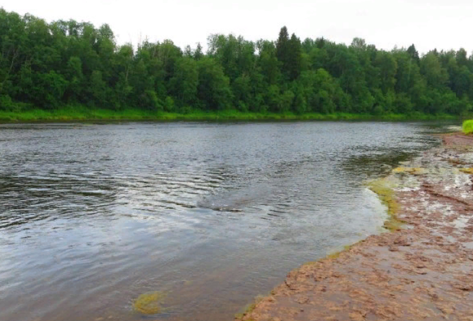 Водный сплав по реке Сясь от д. Шибенец до с. Колчаново (длина 124 км) - фото