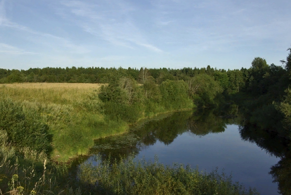 Водный сплав по реке Сясь от д. Шибенец до с. Колчаново (длина 124 км) - фото