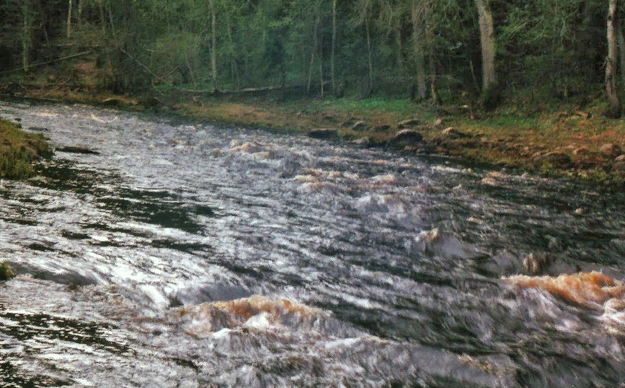 Водный сплав по реке Сясь от д. Шибенец до с. Колчаново (длина 124 км) - фото