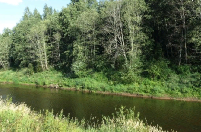 Водный сплав по реке Сясь от д. Шибенец до с. Колчаново (длина 124 км) - фото