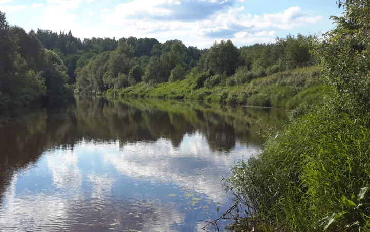 Водный сплав по реке Сясь от д. Шибенец до с. Колчаново (длина 124 км) - фото