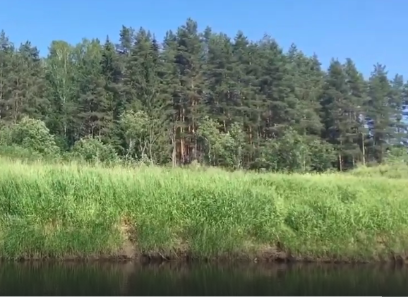 Водный сплав по реке Тверца (длина маршрута 190 км) - фото