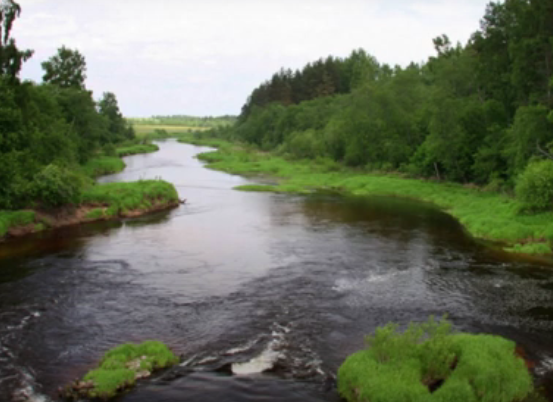 Водный сплав по реке Тверца (длина маршрута 190 км) - фото