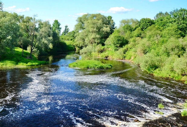 Водный сплав по реке Шелонь от п. Дедовичи до д. Замостье (длина 130 км) - фото
