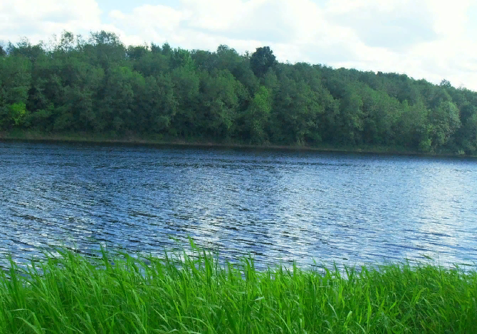 Водный сплав по реке Шелонь от п. Дедовичи до д. Замостье (длина 130 км) - фото