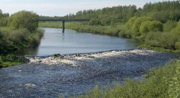 Водный сплав по реке Шелонь от п. Дедовичи до д. Замостье (длина 130 км) - фото