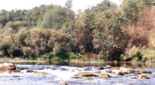 Водный сплав по реке Шелонь от п. Дедовичи до д. Замостье (длина 130 км) - фото