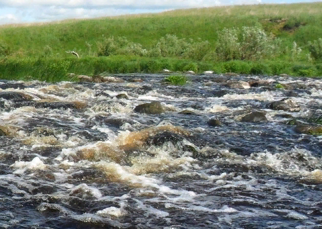 Водный сплав по реке Шелонь от п. Дедовичи до д. Замостье (длина 130 км) - фото