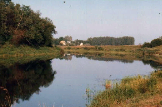 Водный сплав по реке Шелонь от п. Дедовичи до д. Замостье (длина 130 км) - фото
