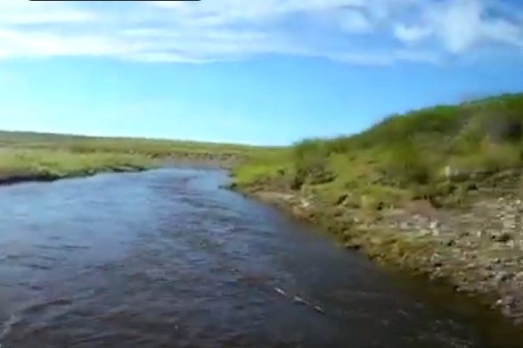 Водный сплав и рыбалка на реке Сейда - приток реки Уса (длина 138 км) - фото